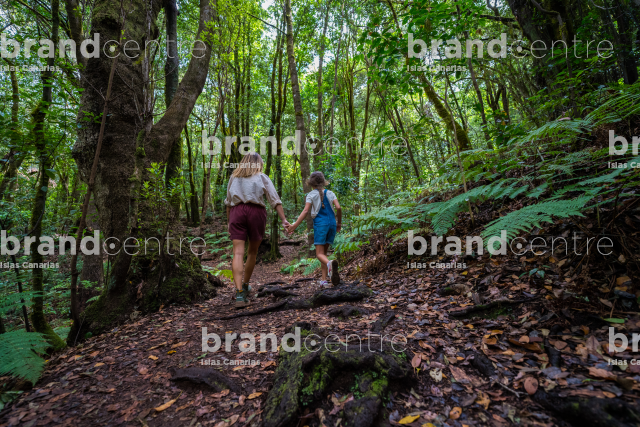 Garajonay National Park