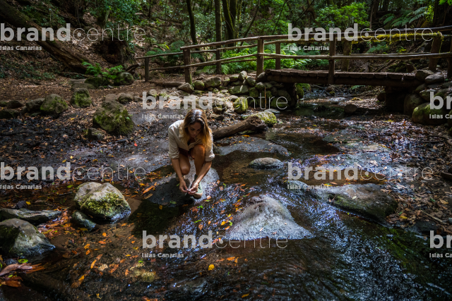 Parque Nacional de Garajonay