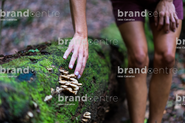 Parque Nacional de Garajonay