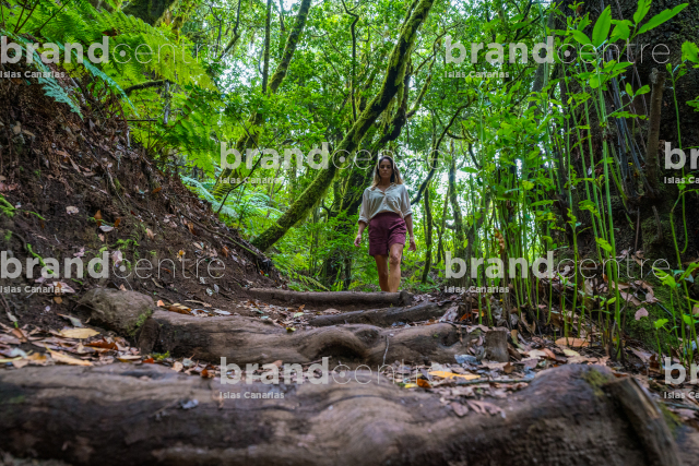 Parque Nacional de Garajonay