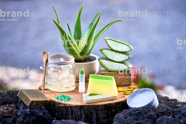 Aloe Vera - Producto Canario