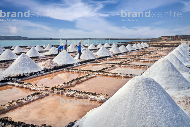 Salinas de Janubio - Producto Canario