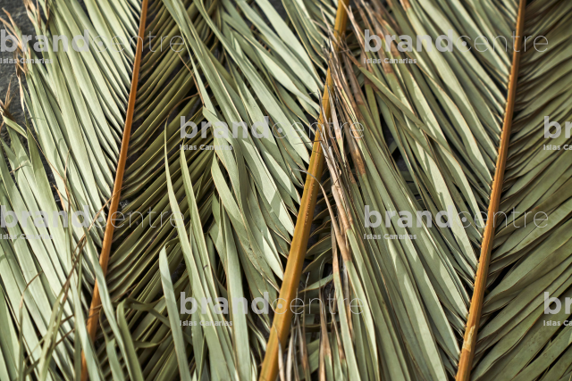 Escuela Insular de artesanía de Mazo - Cestería - Producto Canario