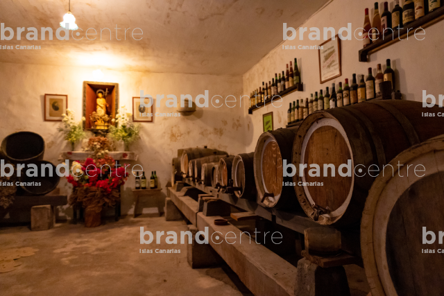 Bodega San Juan - Finca El Mocanal