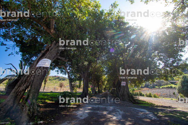 Bodega San Juan - Finca El Mocanal
