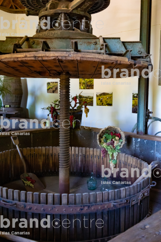 Bodega San Juan - Finca El Mocanal