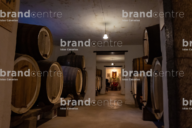 Bodega San Juan - Finca El Mocanal