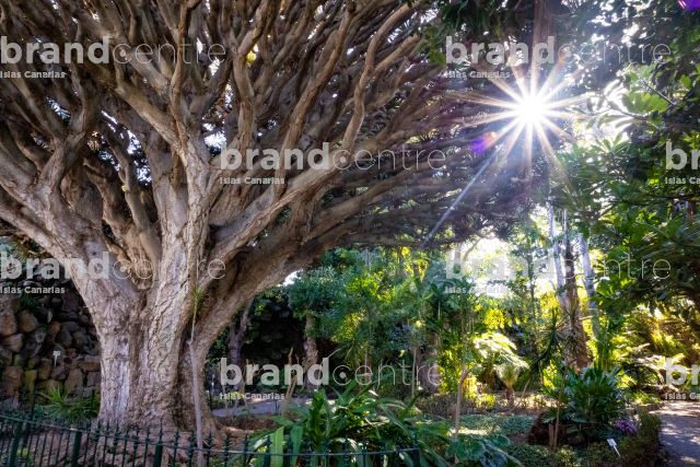 Jardín de la Marquesa