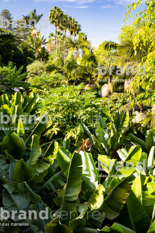 Jardín de la Marquesa
