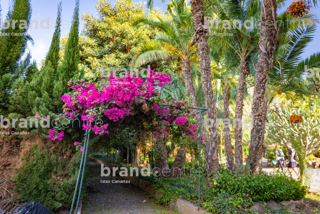 Jardín de la Marquesa