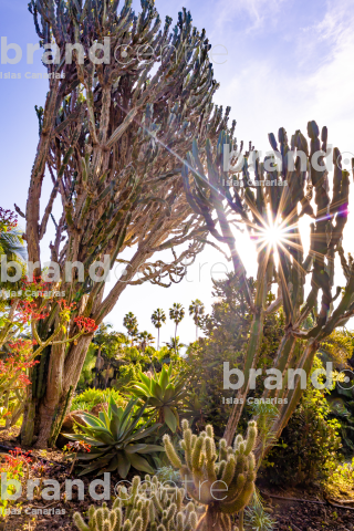 Jardín de la Marquesa
