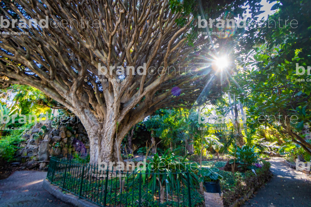 Jardín de la Marquesa