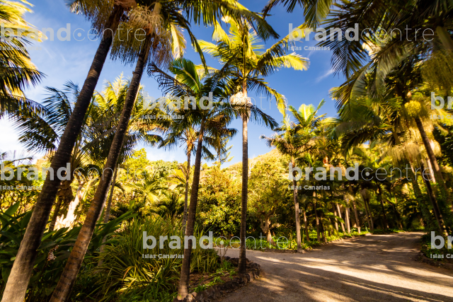 Jardín de la Marquesa