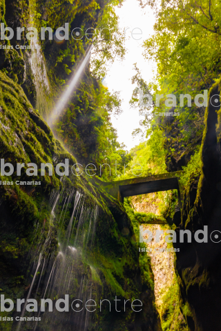 Bosque de los Tilos (Cascada) Bosque de los Tilos (Cascada)