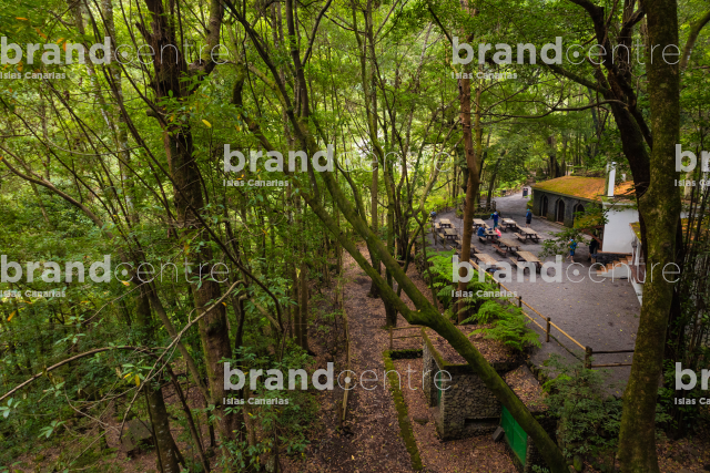 Bosque de los Tilos (Cascada)