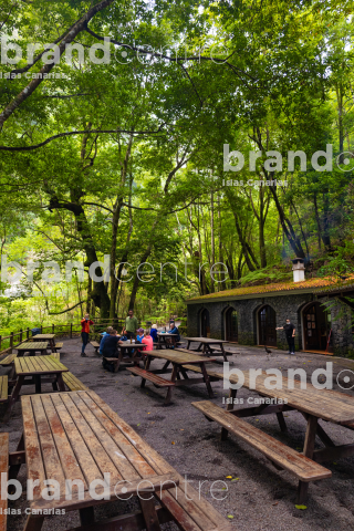 Bosque de los Tilos (Cascada)