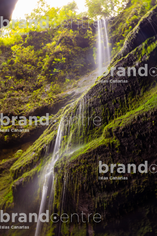 Los Tilos Forest (Waterfall) Los Tilos Forest (Waterfall)