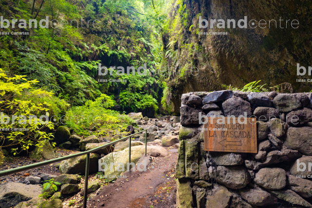 Los Tilos Forest (Waterfall) Los Tilos Forest (Waterfall)