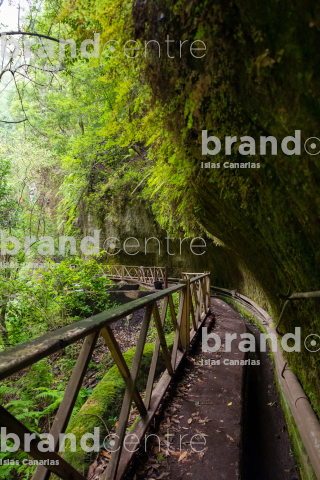 Los Tilos Forest (Waterfall) Los Tilos Forest (Waterfall)