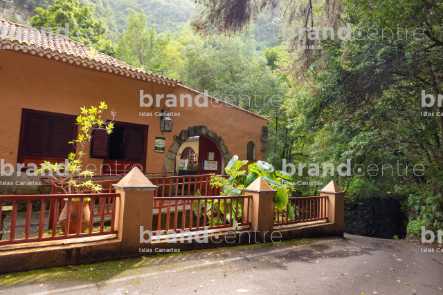 Los Tilos Forest (Waterfall)