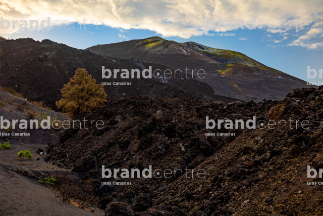 Volcán de Tajogaite