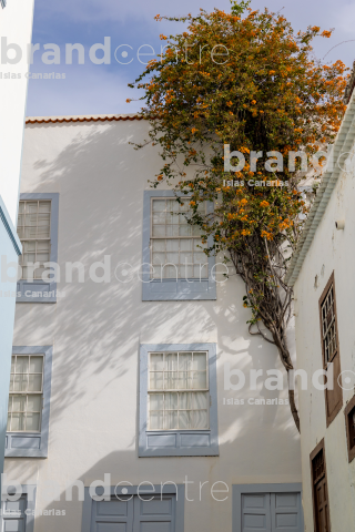 Santa Cruz de La Palma