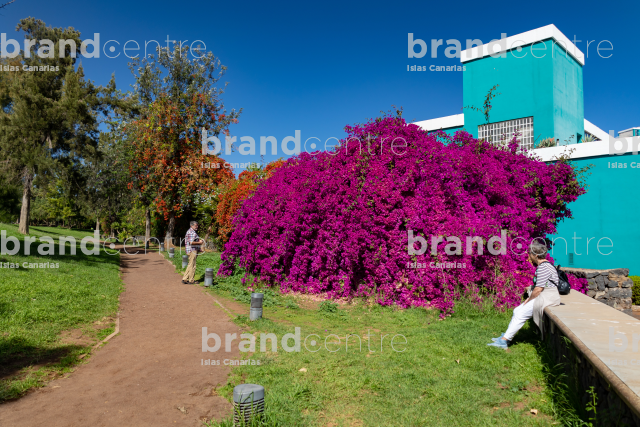 Ring Park