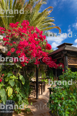 Nature House Restaurant