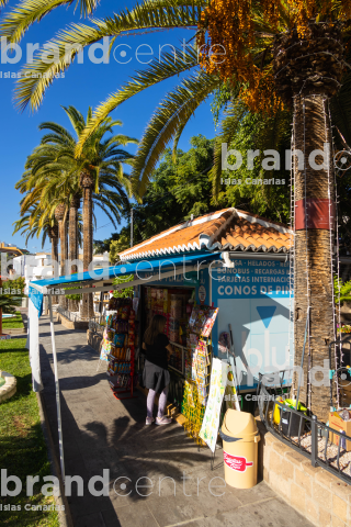 Santa Úrsula