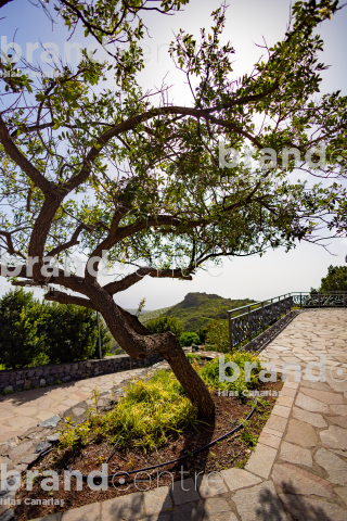 Ermita de Nuestra Señora del Buen Paso