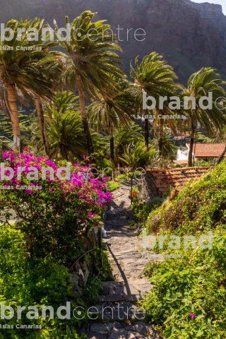 Valle Gran Rey