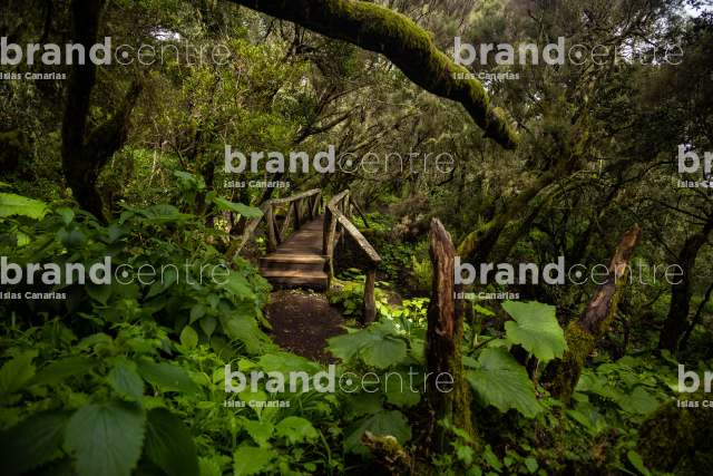 Sendero de La Llanía Sendero de La Llanía