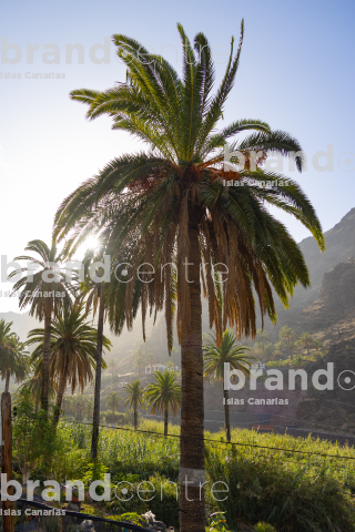Valle Gran Rey
