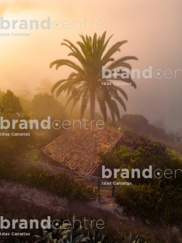 Niebla en el norte de Agulo