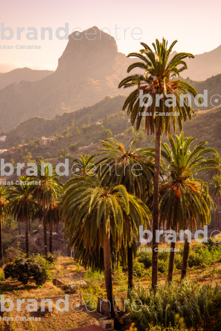 Macayo - Vallehermoso