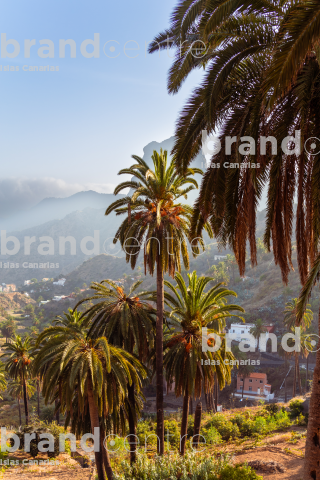 Macayo - Vallehermoso