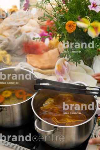 Wool Festival - Caideros