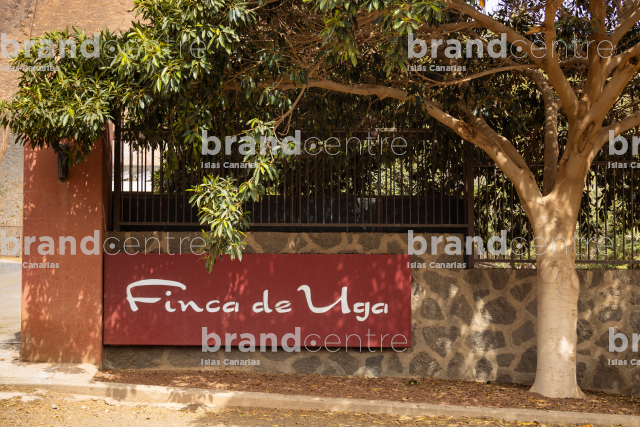 Finca de Uga Cheese Factory