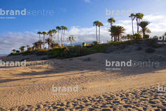Trails in the Dunes of Maspalomas Trails in the Dunes of Maspalomas