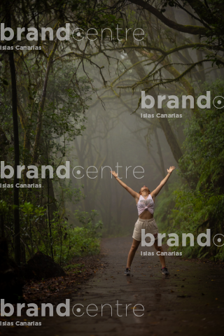 El Cedro - Garajonay