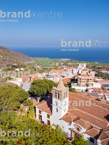 Drago Milenario de Icod de los Vinos