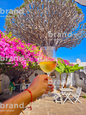 Drago Milenario de Icod de los Vinos