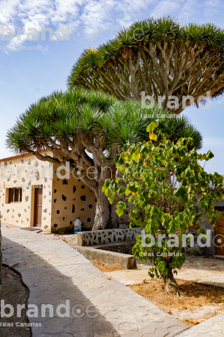 Convento de las Dominicas