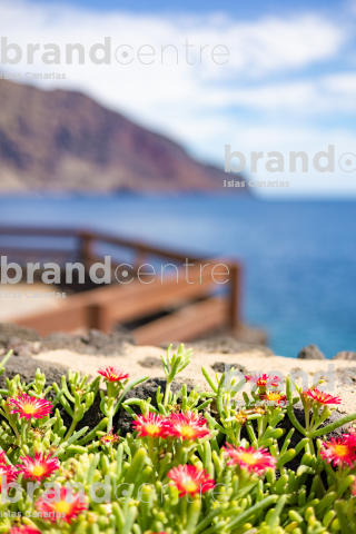 Parador de El Hierro