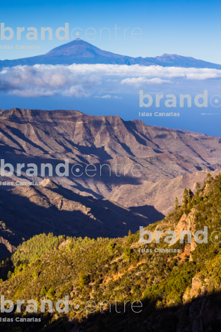 Vista del Teide