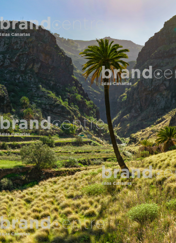 Valle de Agaete