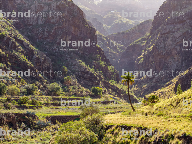Valle de Agaete