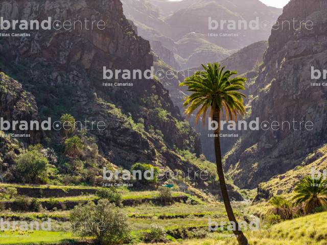Valle de Agaete