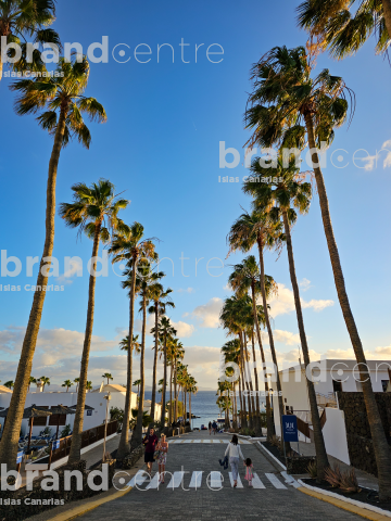Street with palm trees in Playa Blanca