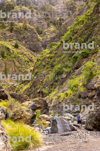 Sendero por el Barranco de las Angustias (Caldera Taburiente) hasta la Cascada de los Colores